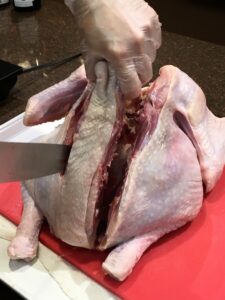 Removing backbone of turkey in preparation for spatchcock.